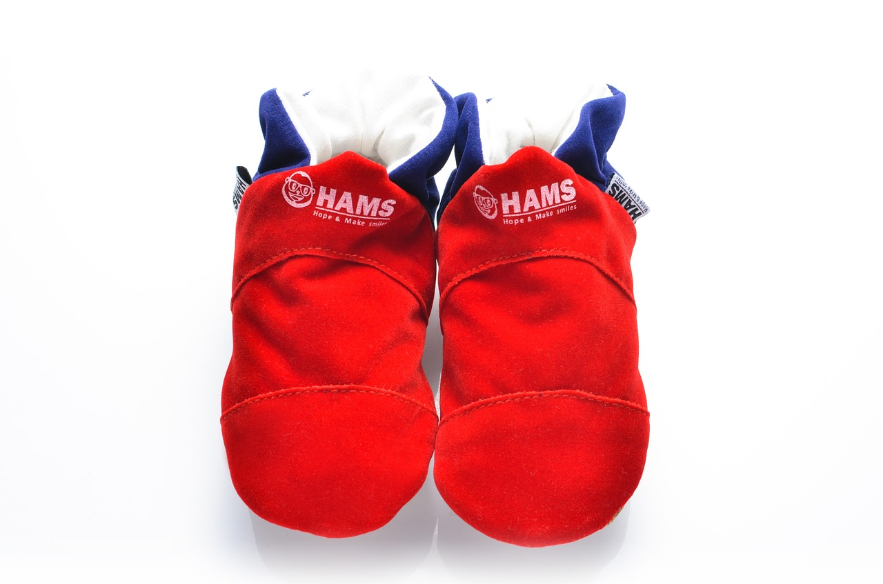 slippers ham shoes free photo