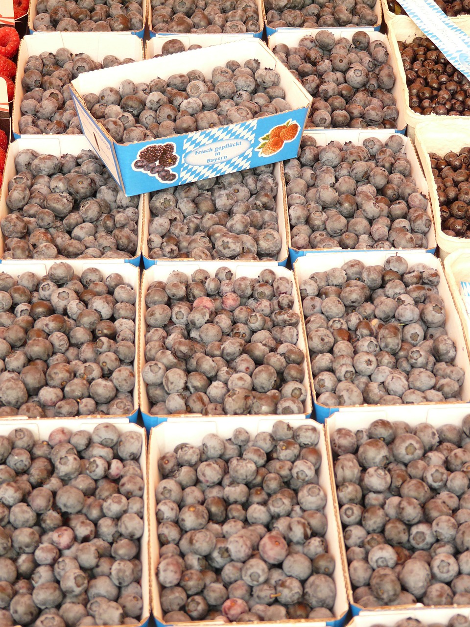 sloes berries market free photo