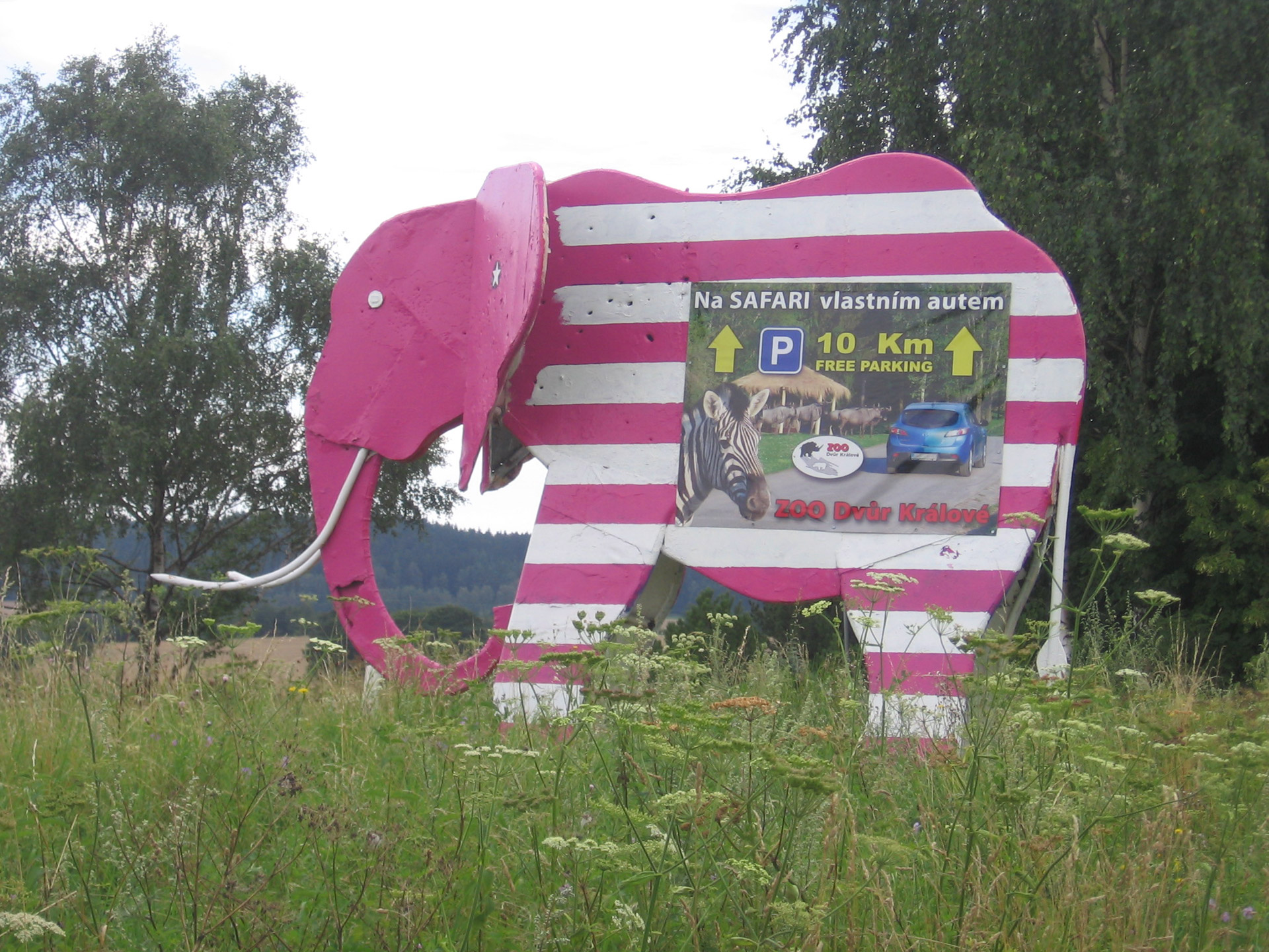 elephant road banner free photo