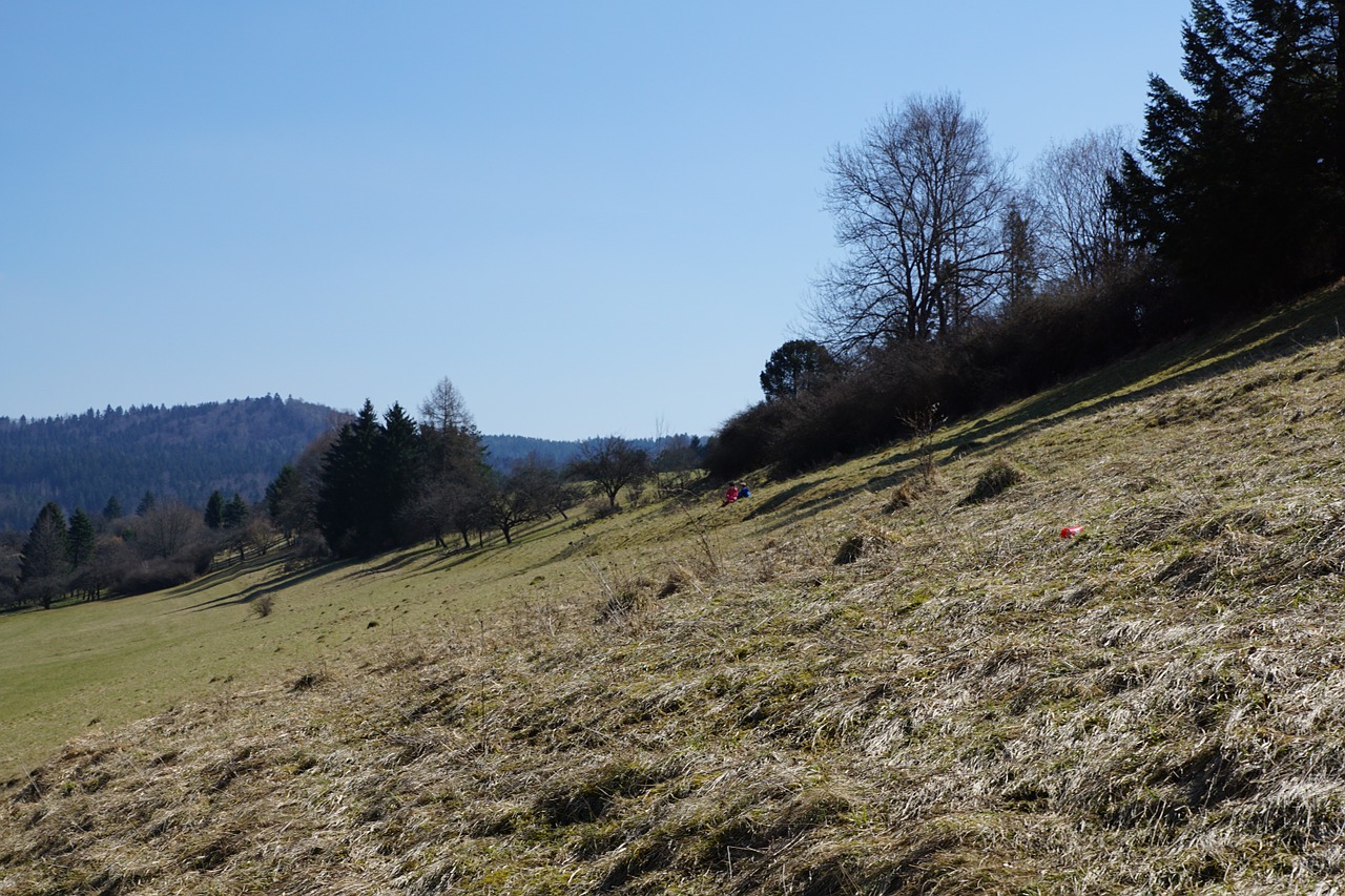 slope meadow children free photo