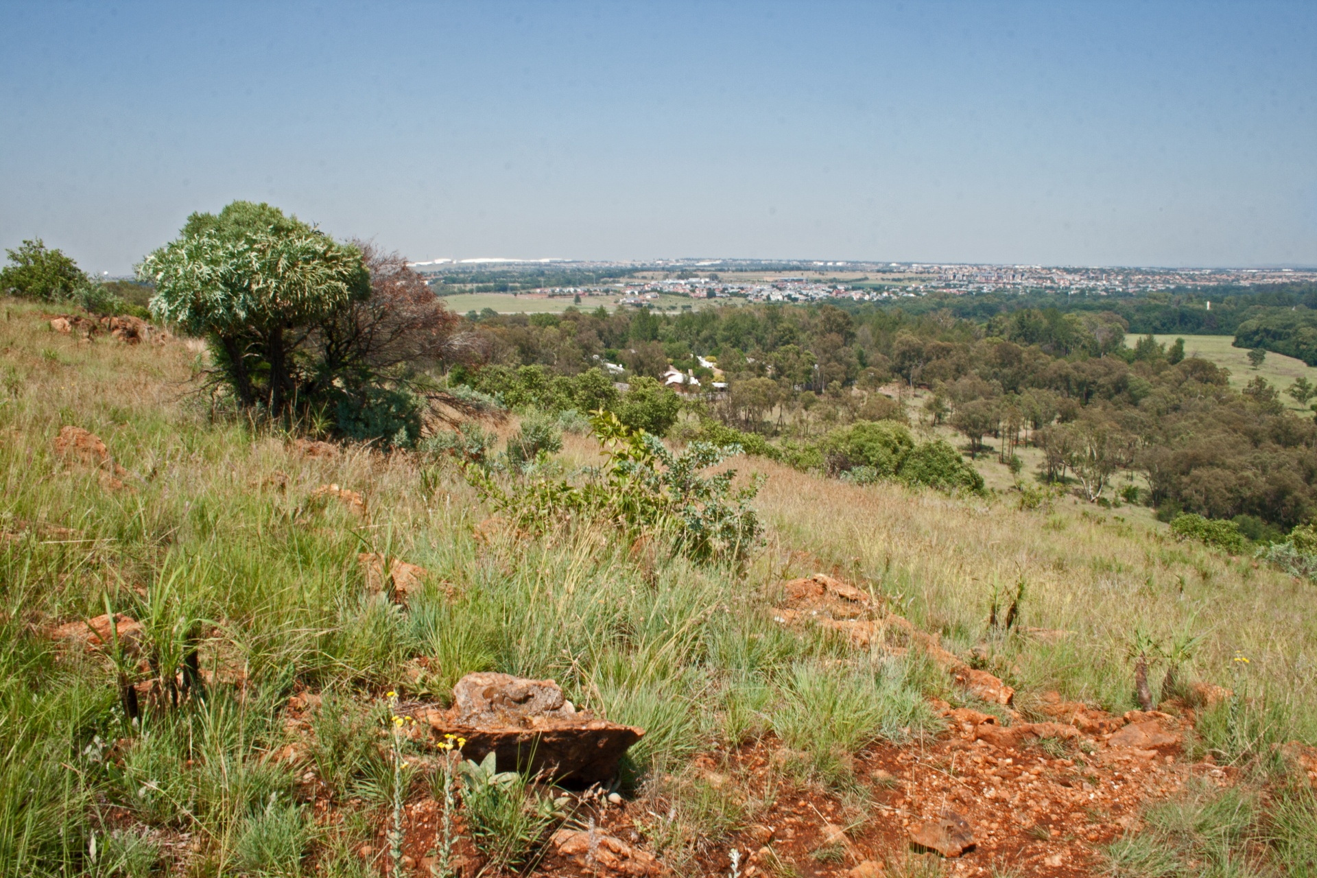 nature terrain hill free photo