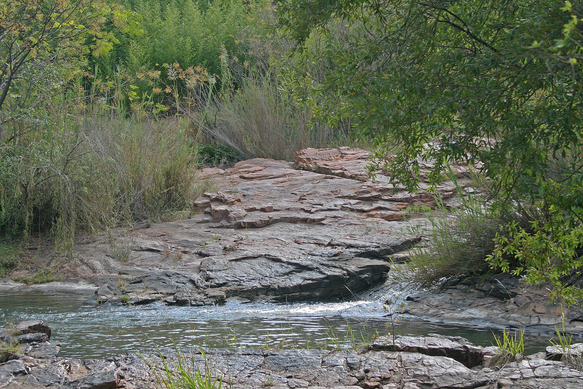 stream water rock free photo