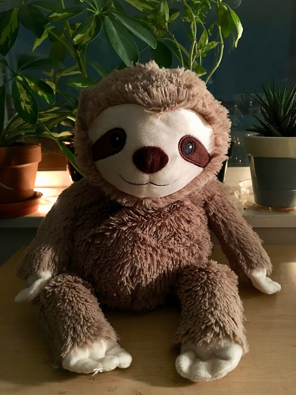 cute sloth teddy