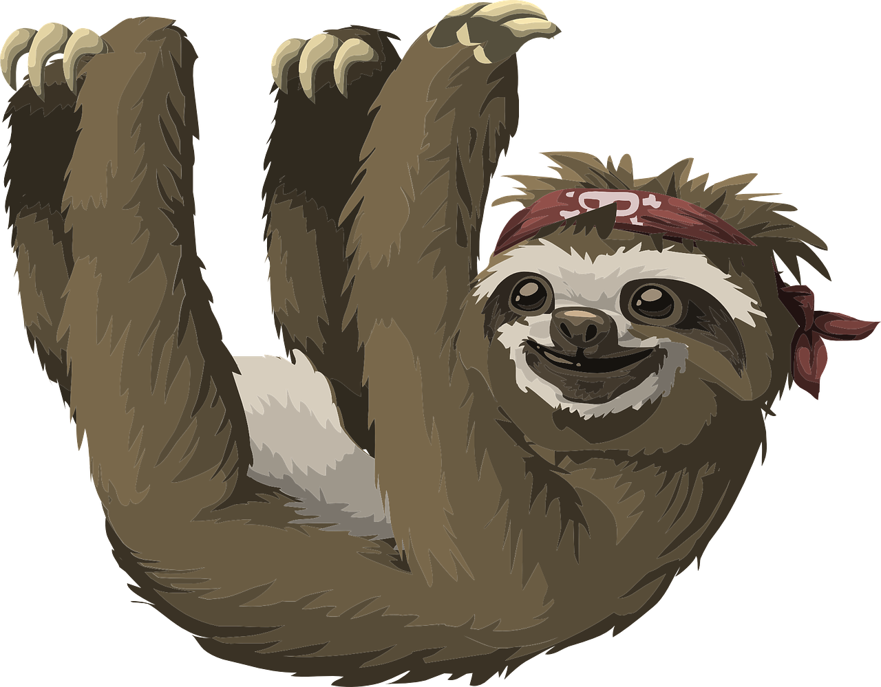 sloth animal mammal free photo