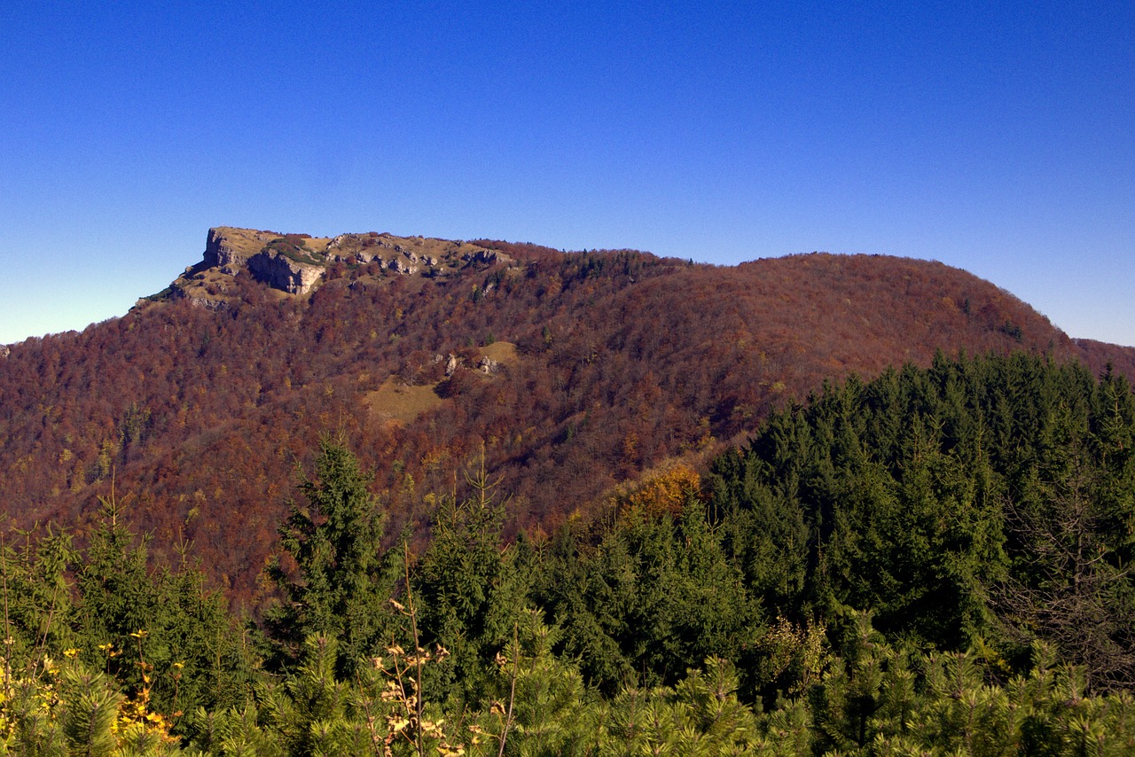 slovakia mountains jesen free photo