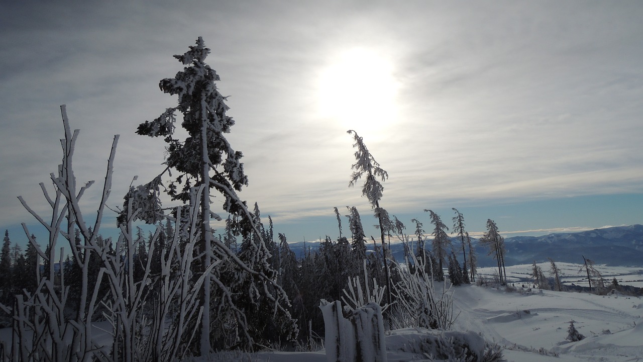 slovakia high tatras pleso free photo