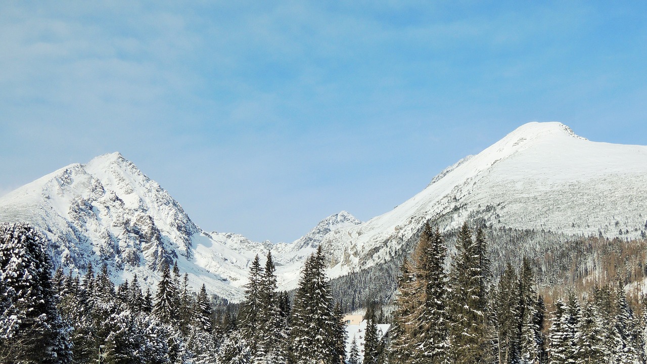 slovakia high tatras pleso free photo