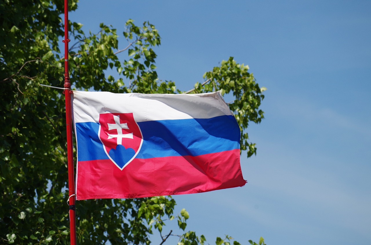 slovakia flag pledge free photo