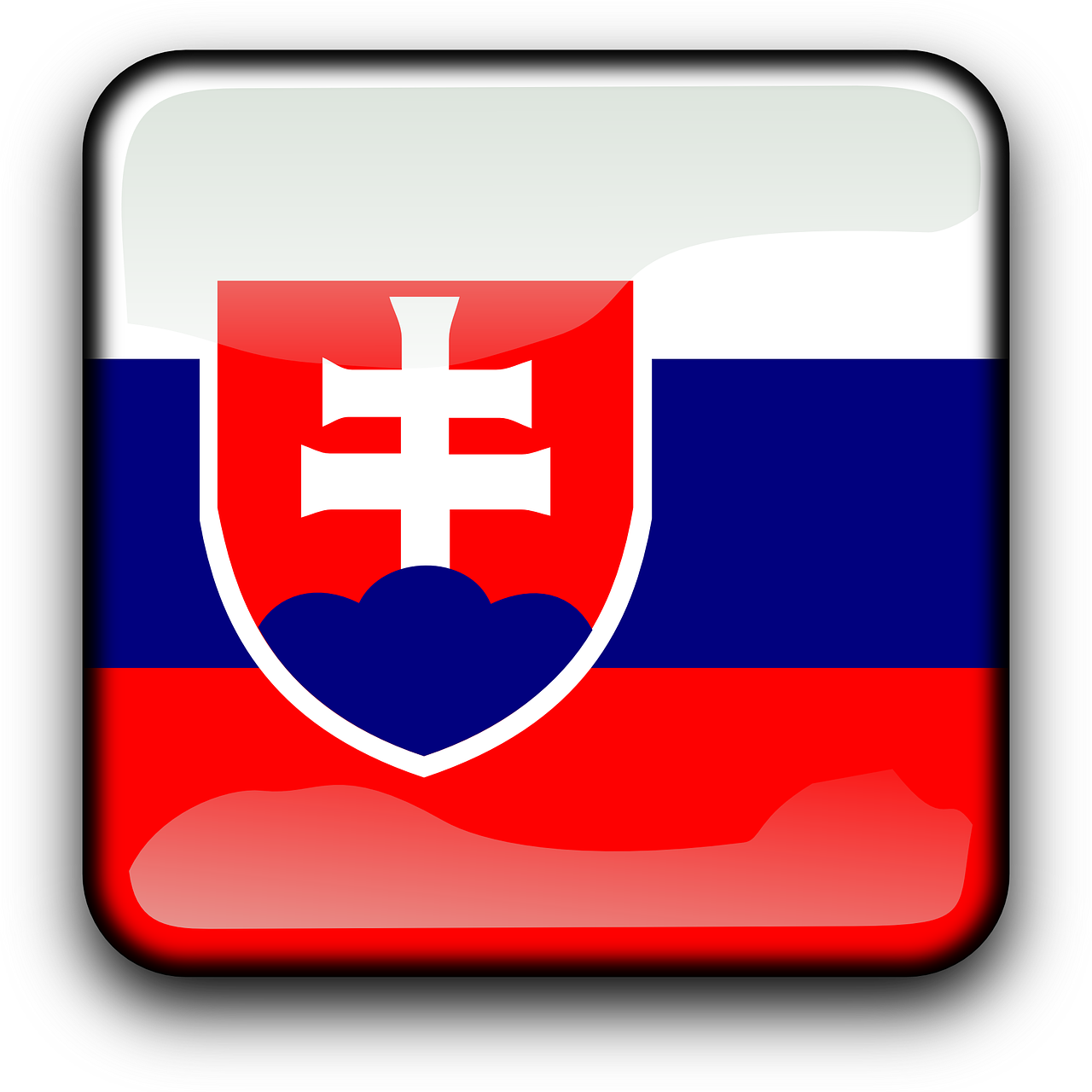 slovakia flag country free photo