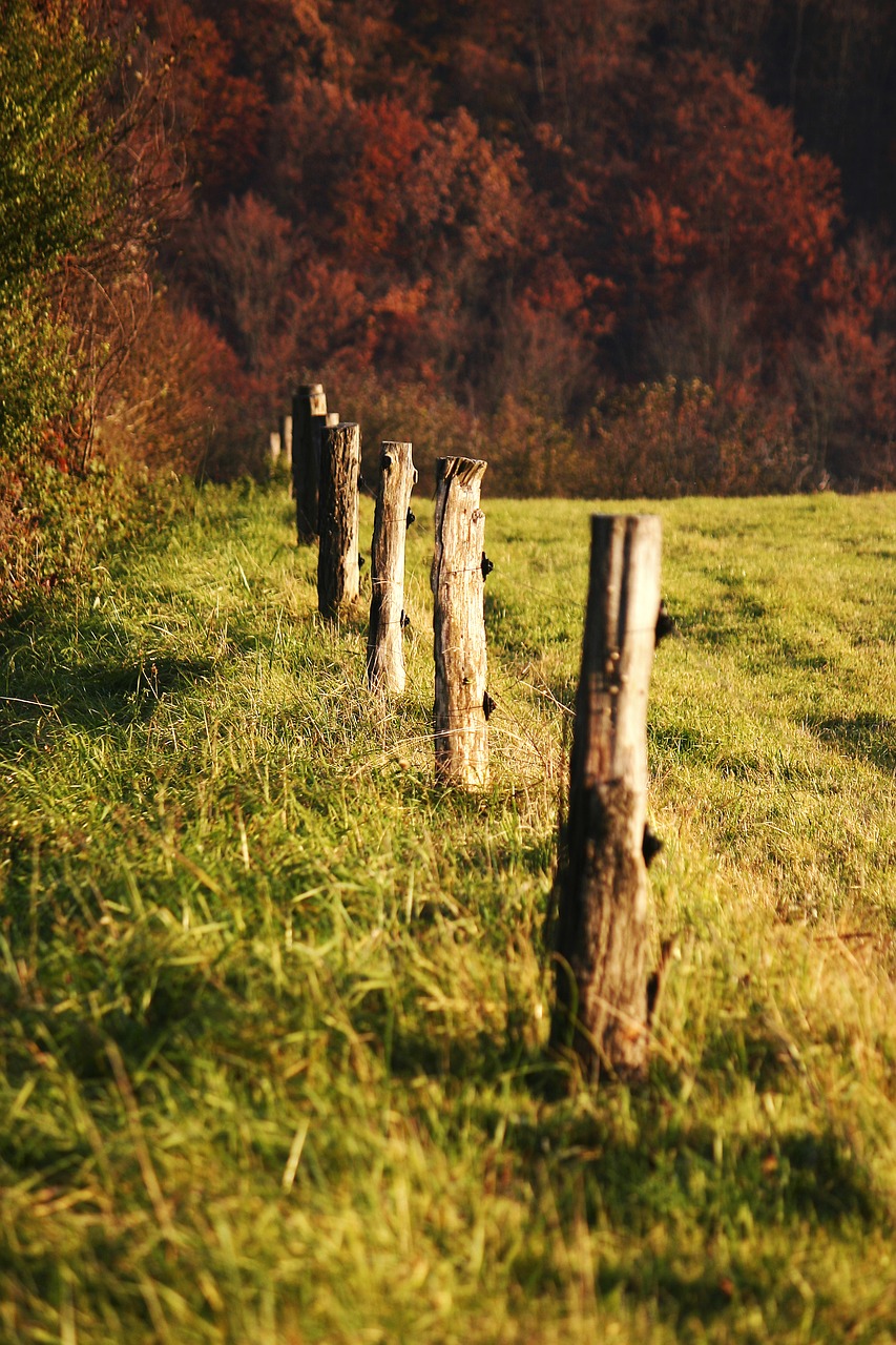 slovakia nature autumn free photo