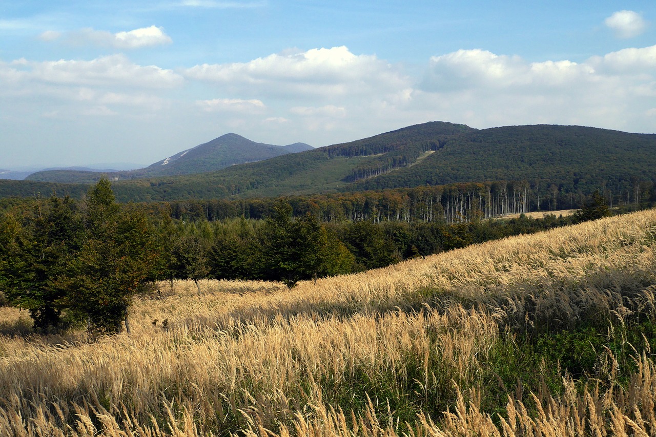 slovakia little carpathians nature free photo