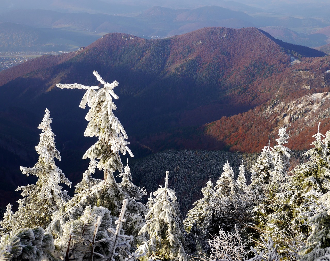 slovakia snow country free photo