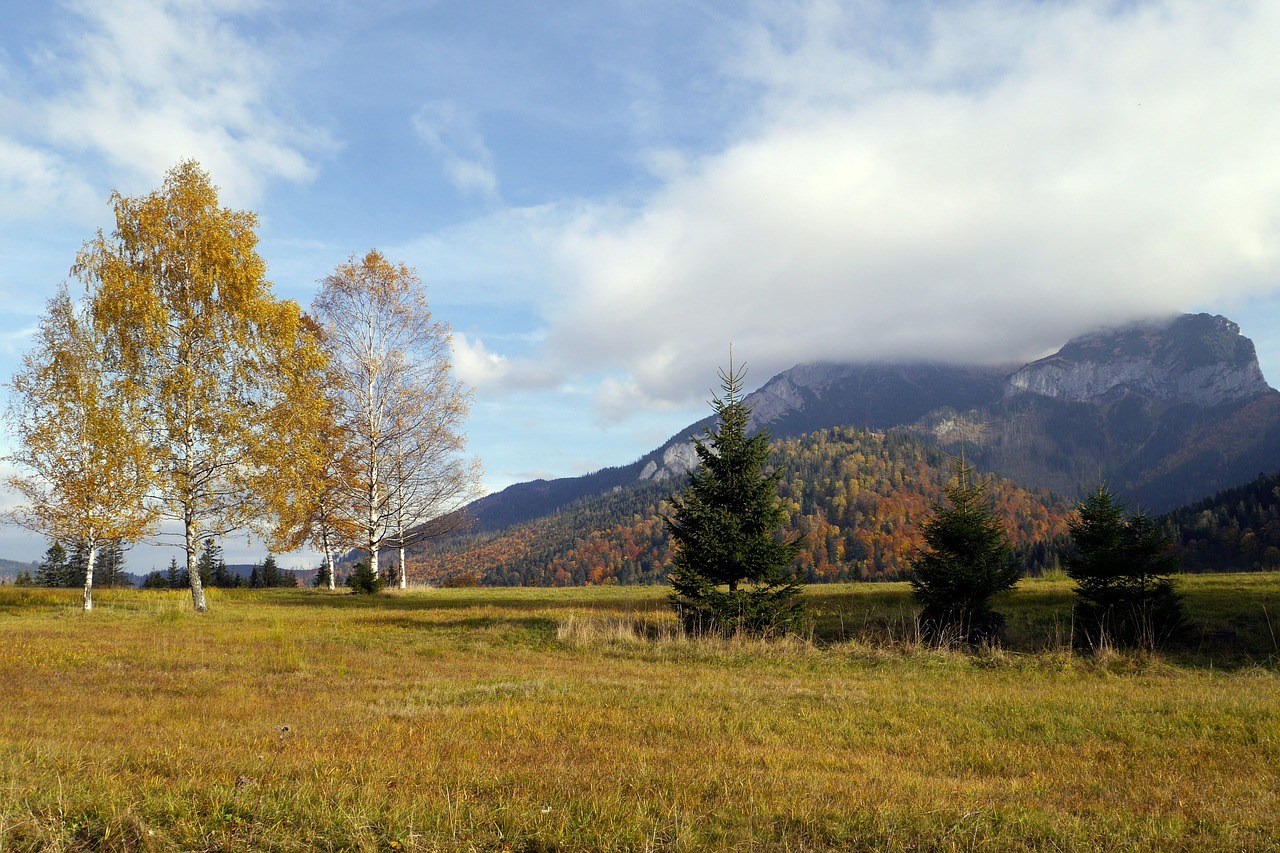 slovakia country nature free photo