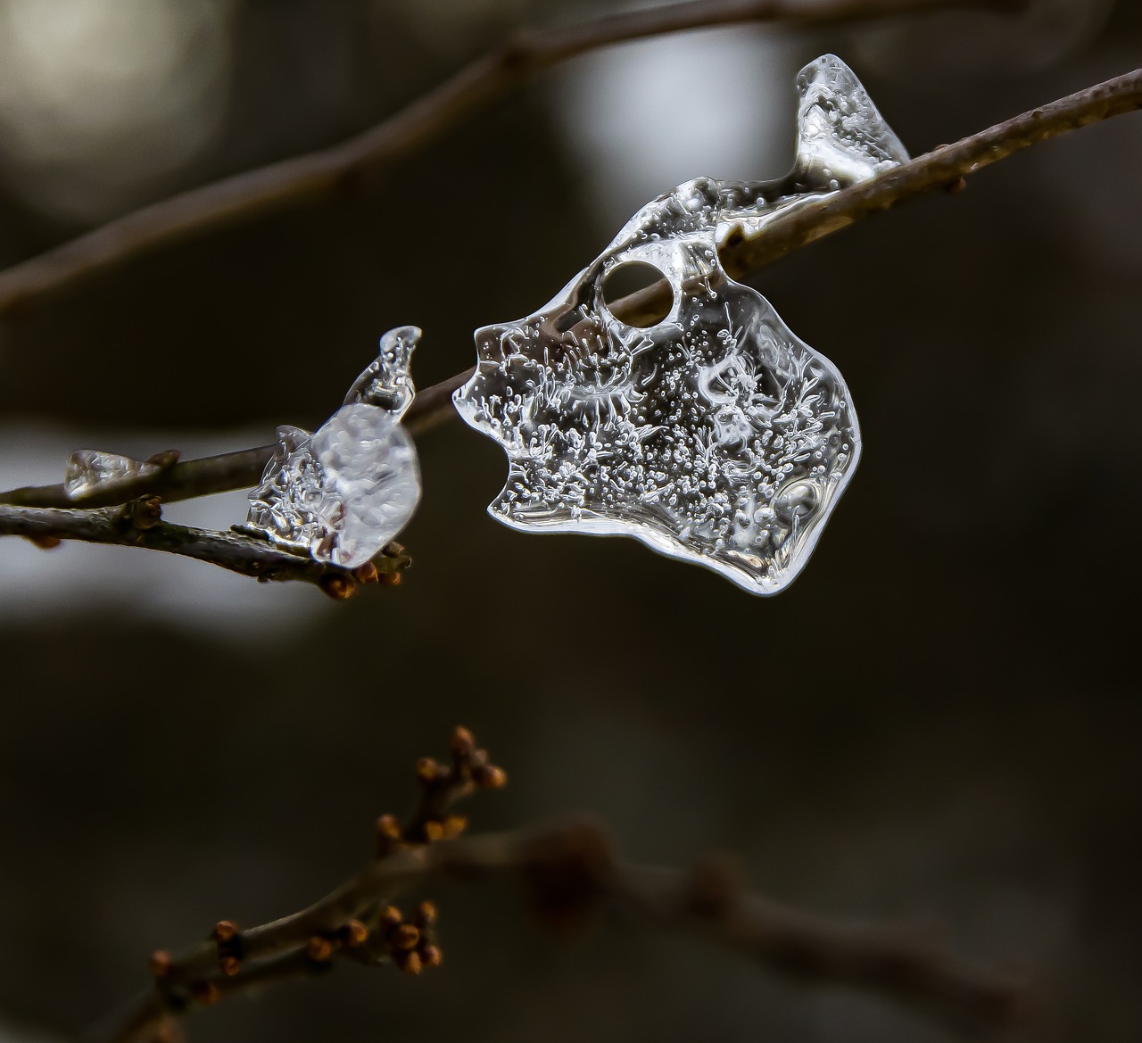 slovakia  winter  nature free photo