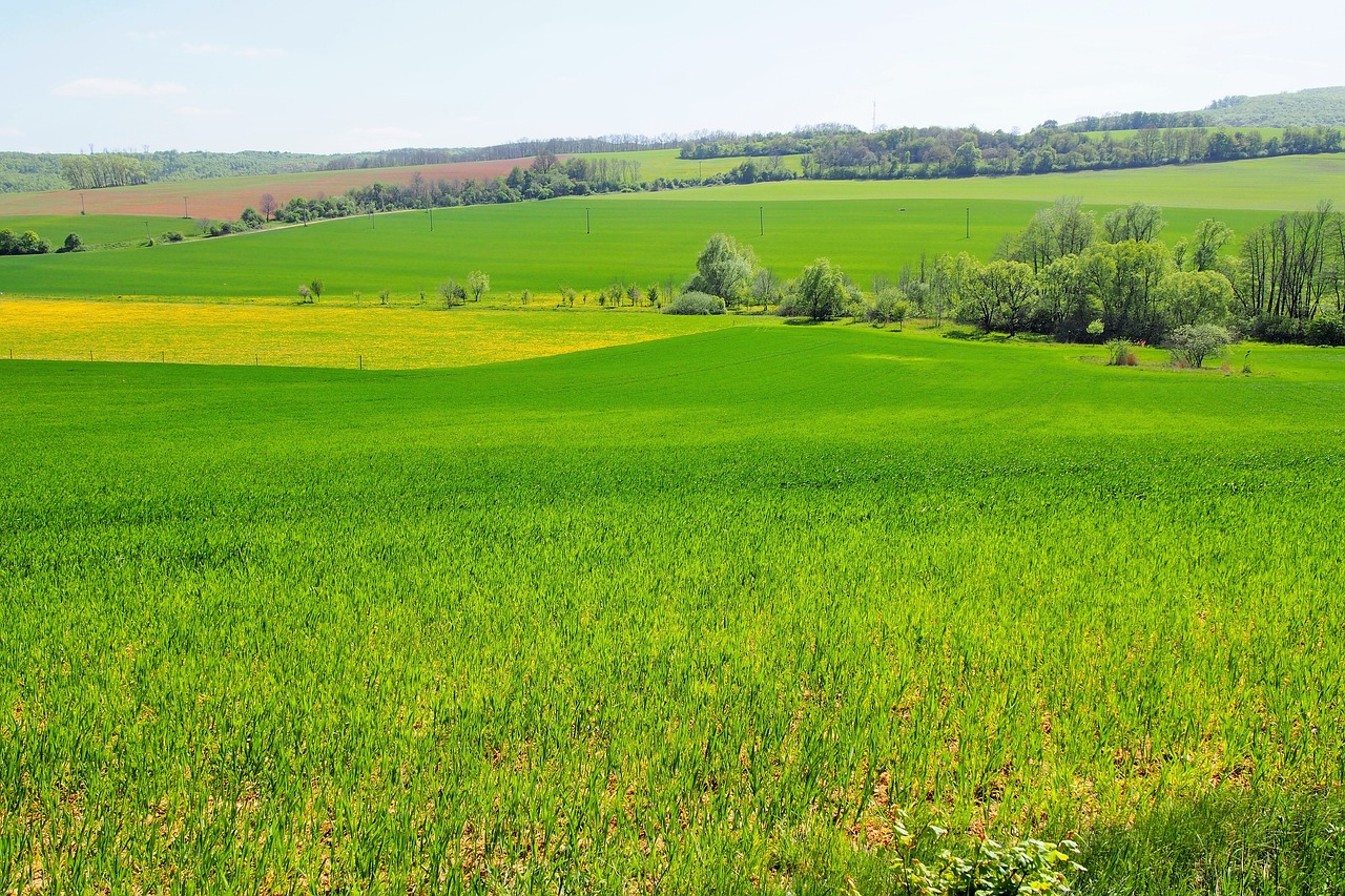 slovakia  nature  country free photo