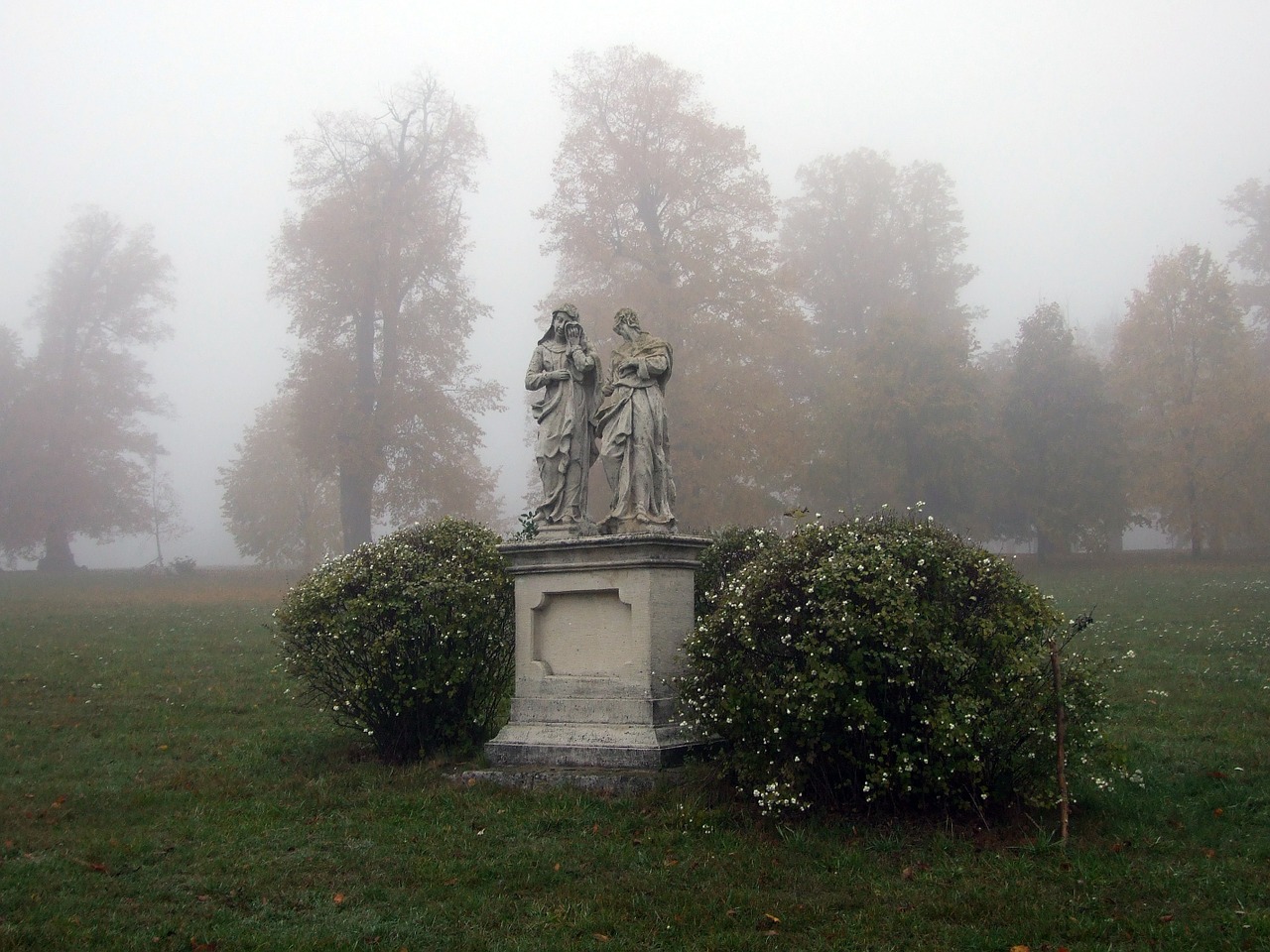 slovakia fog trees free photo