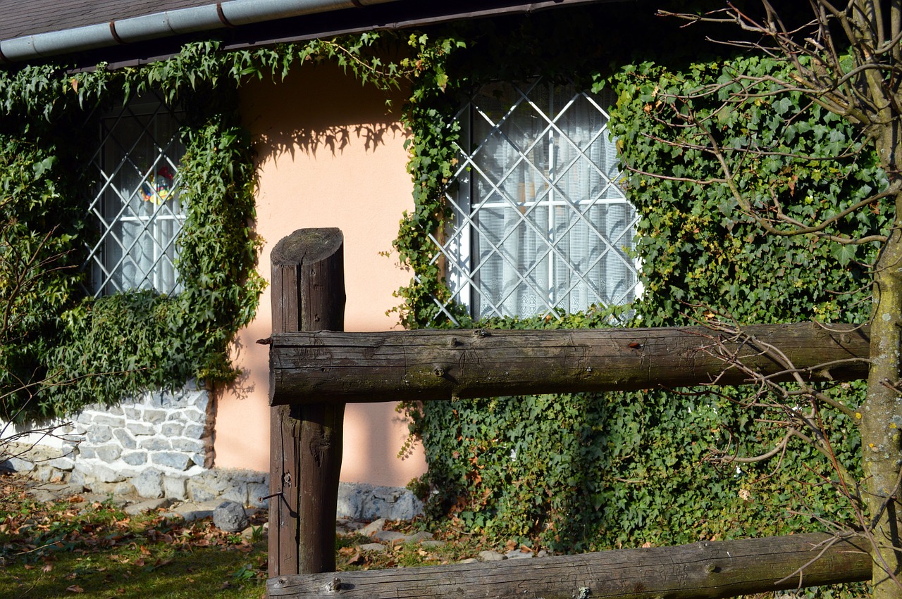 slovakia house window free photo