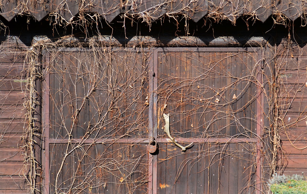 slovakia doors old free photo