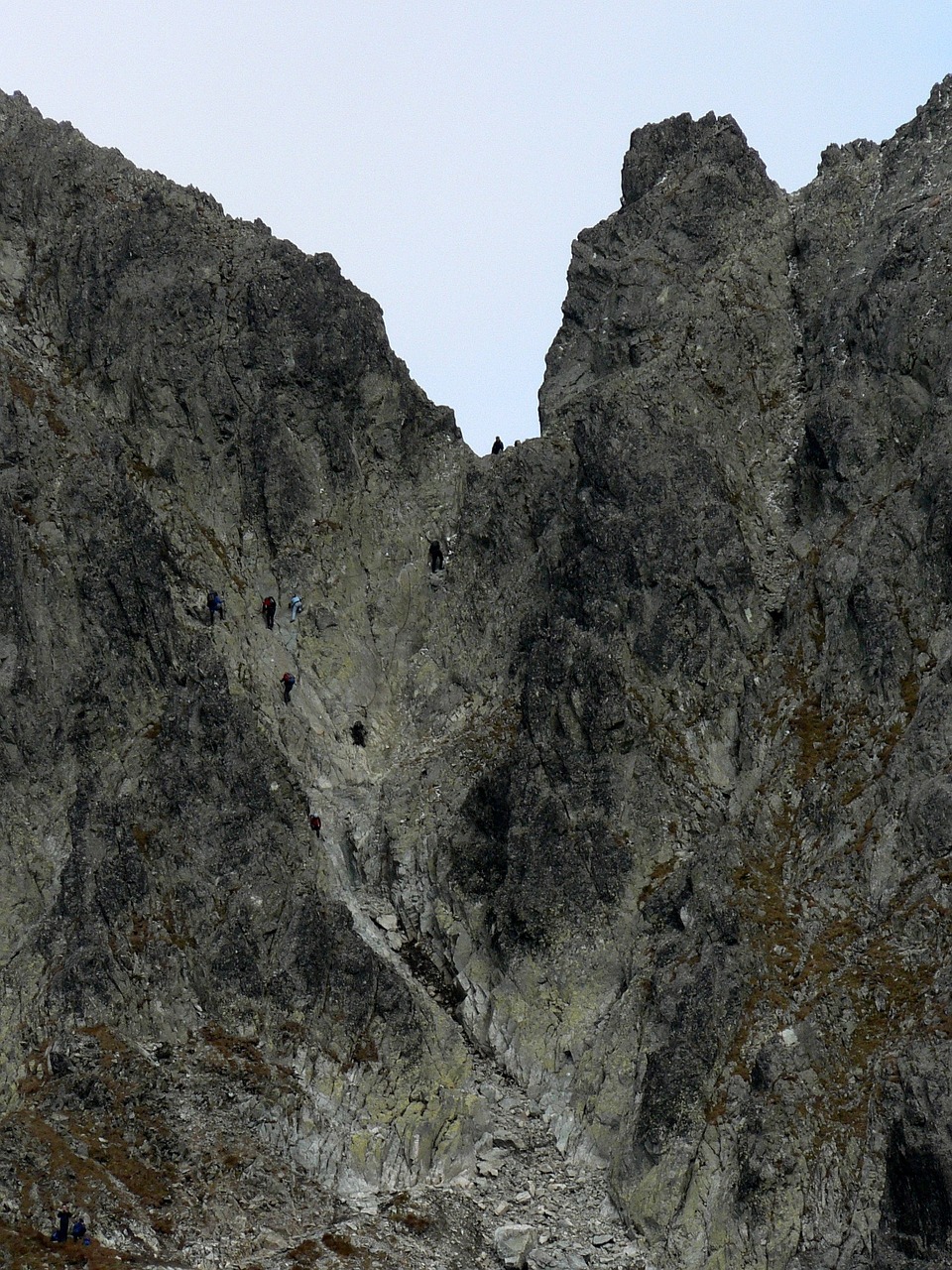 slovakia vysoké tatry nature free photo