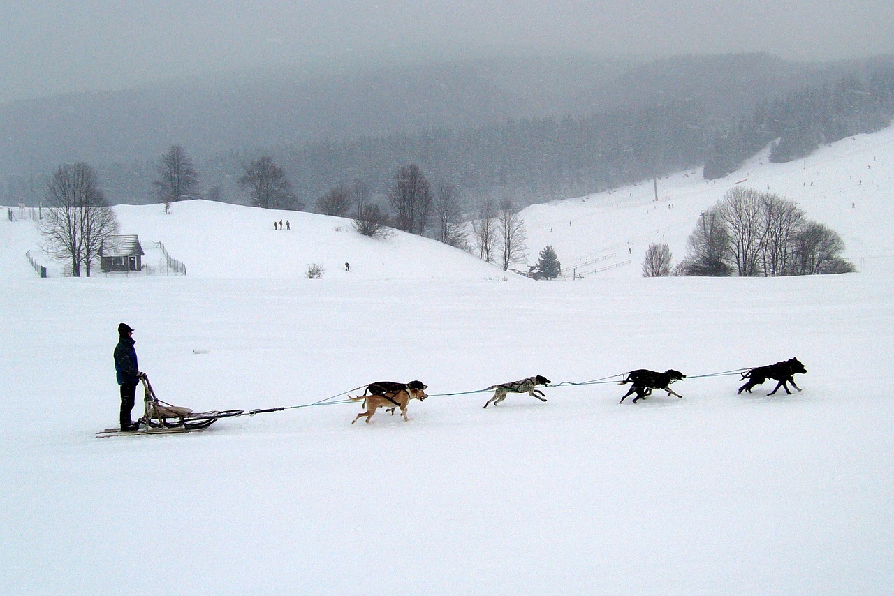 slovakia donovaly winter free photo