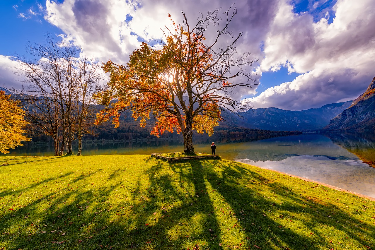 slovenia lake water free photo