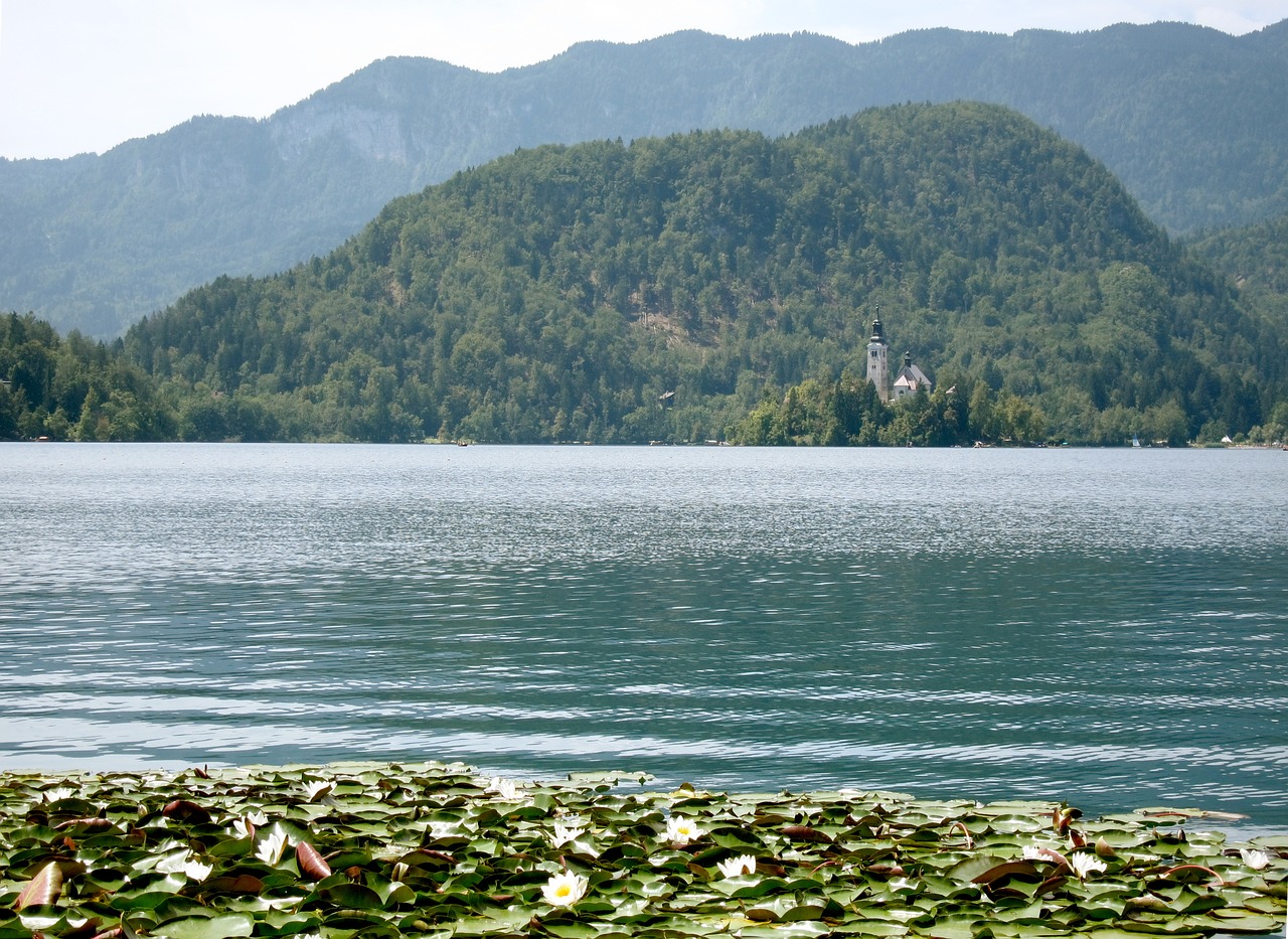 slovenia bled lake free photo