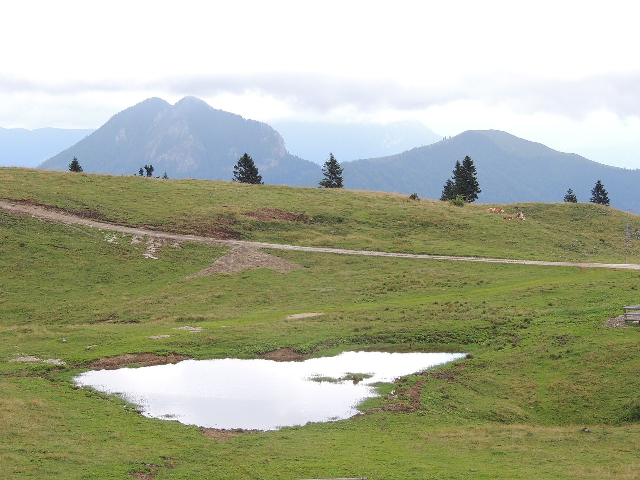 slovenia mountains mala planina free photo