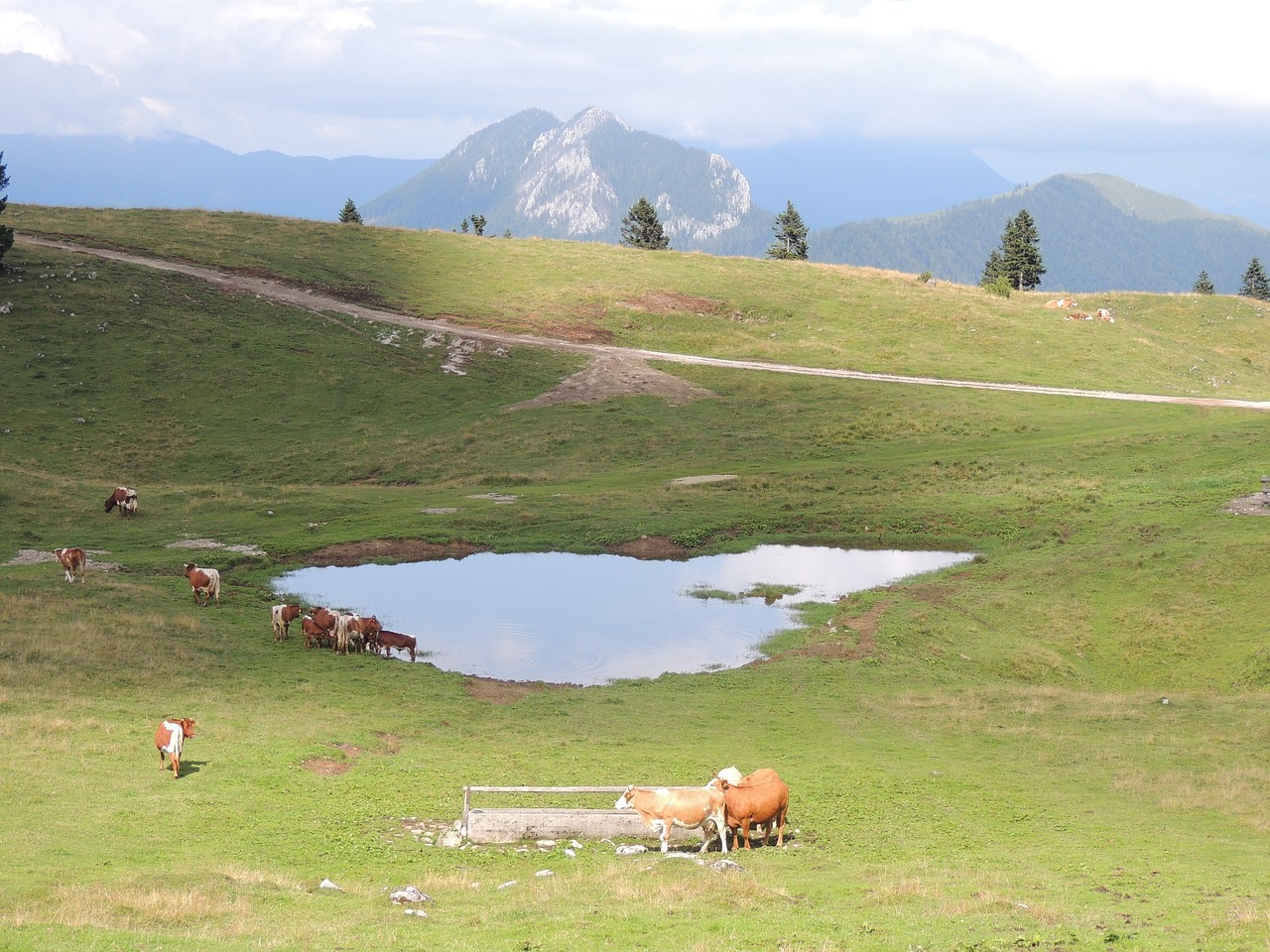 slovenia mountains mala planina free photo