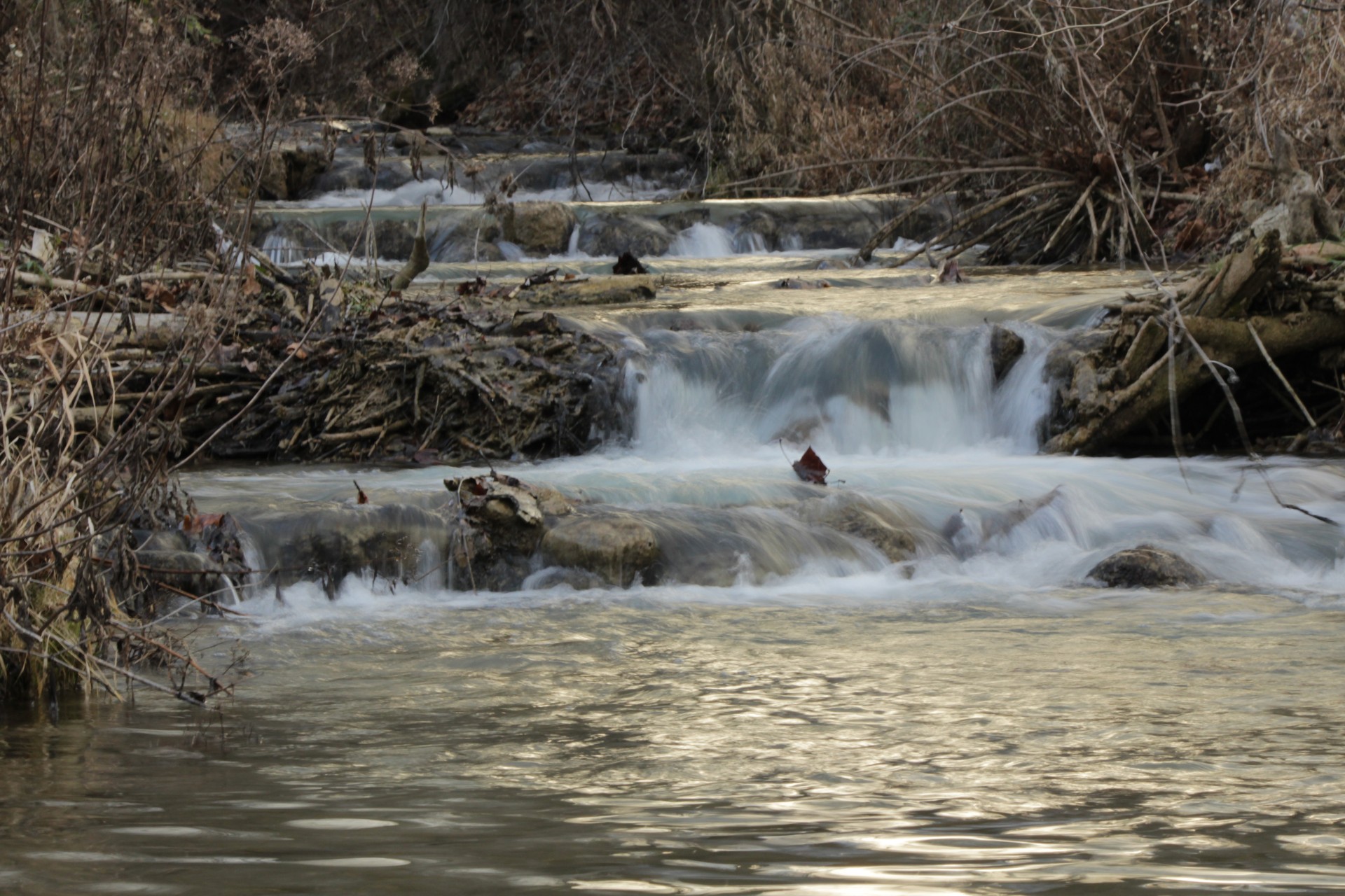 waters streams brooks free photo