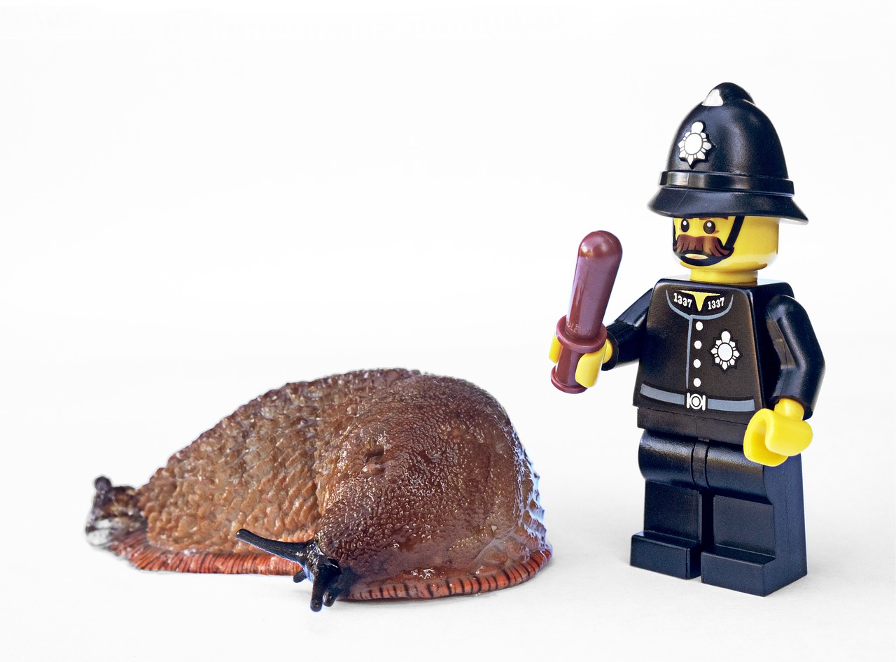 slug policeman lego free photo