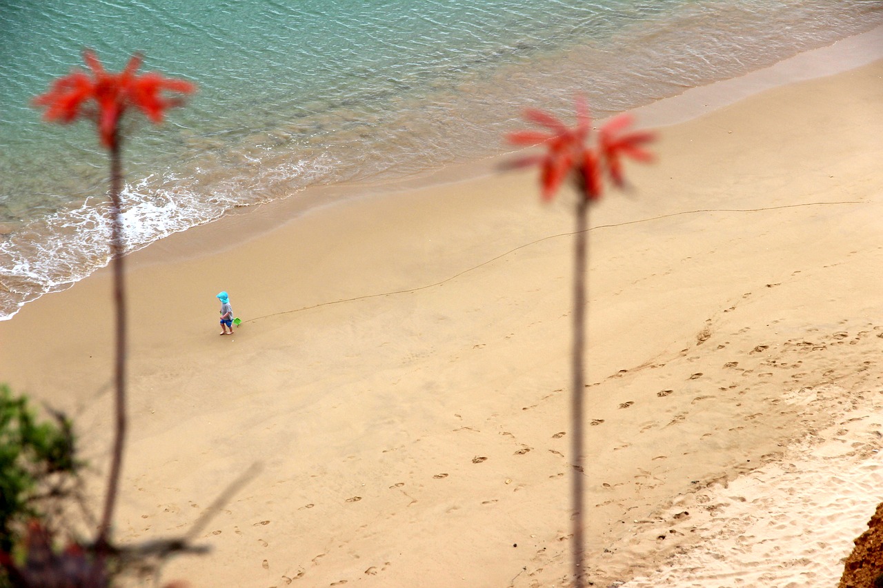 small child  beach  baby free photo