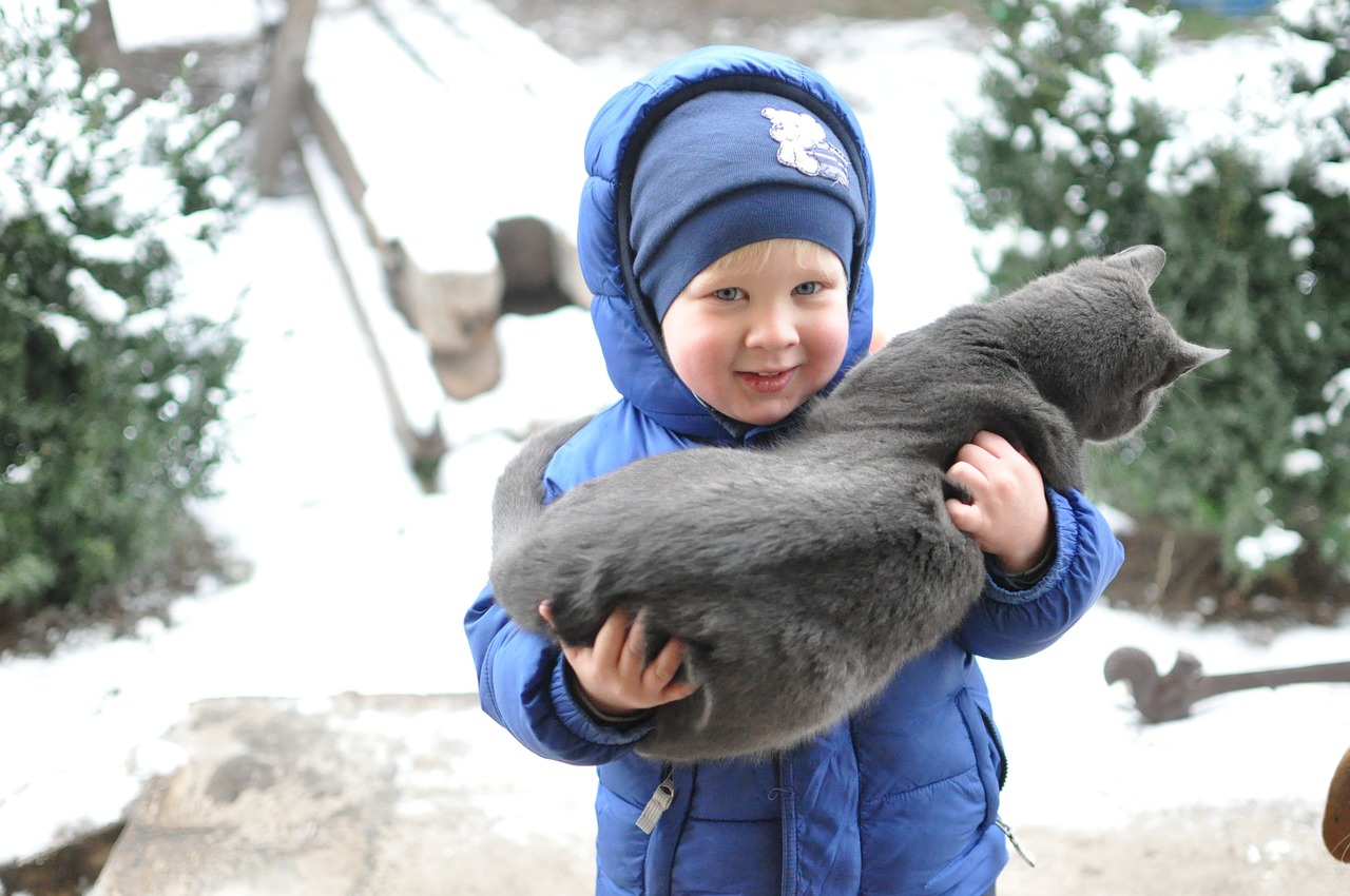 small child kitten winter free photo