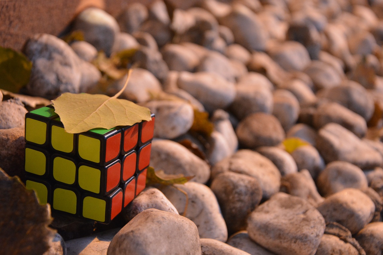 small fresh rubik's cube still life free photo