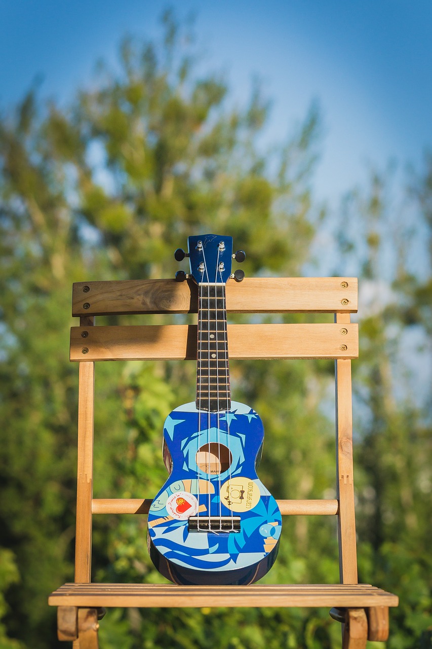 small guitar colorful summer free photo