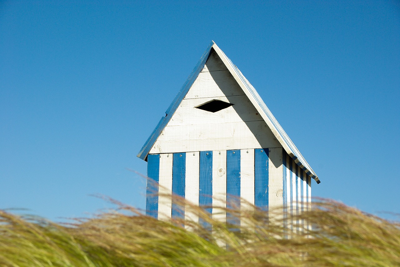 small house cabin wood free photo