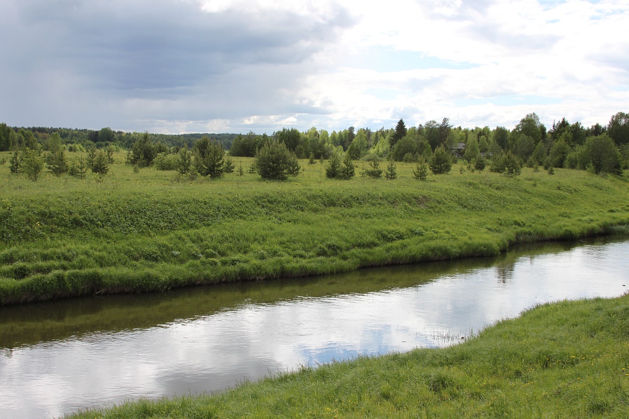 small river meadow glade free photo