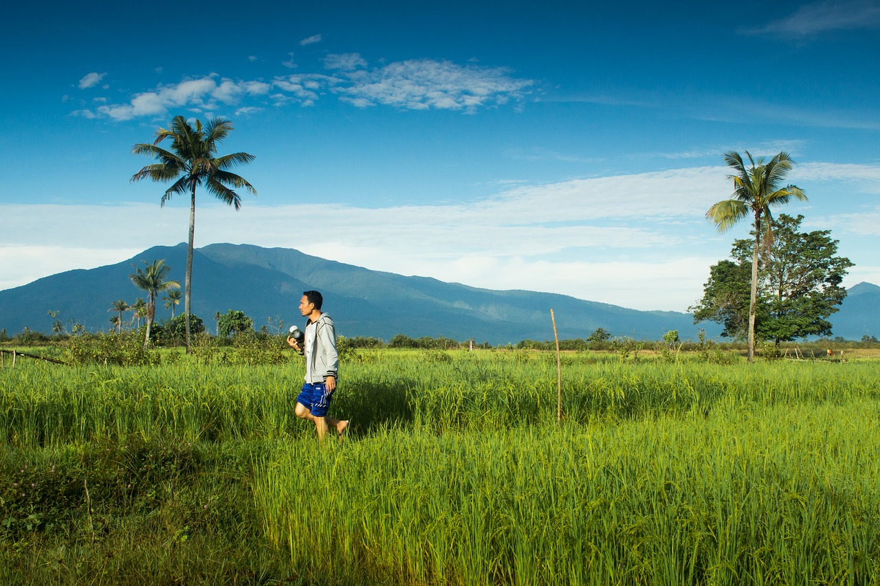 small town subaim agriculture free photo