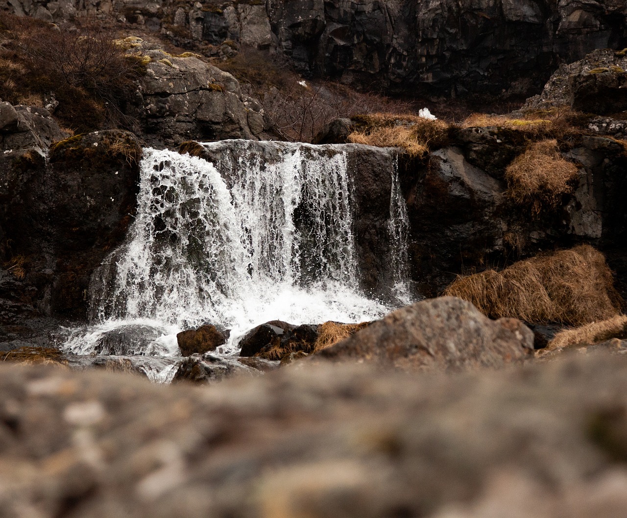 small waterfall  stream  droplets free photo