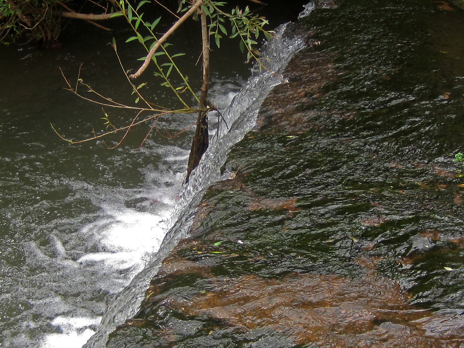 water stream rock free photo