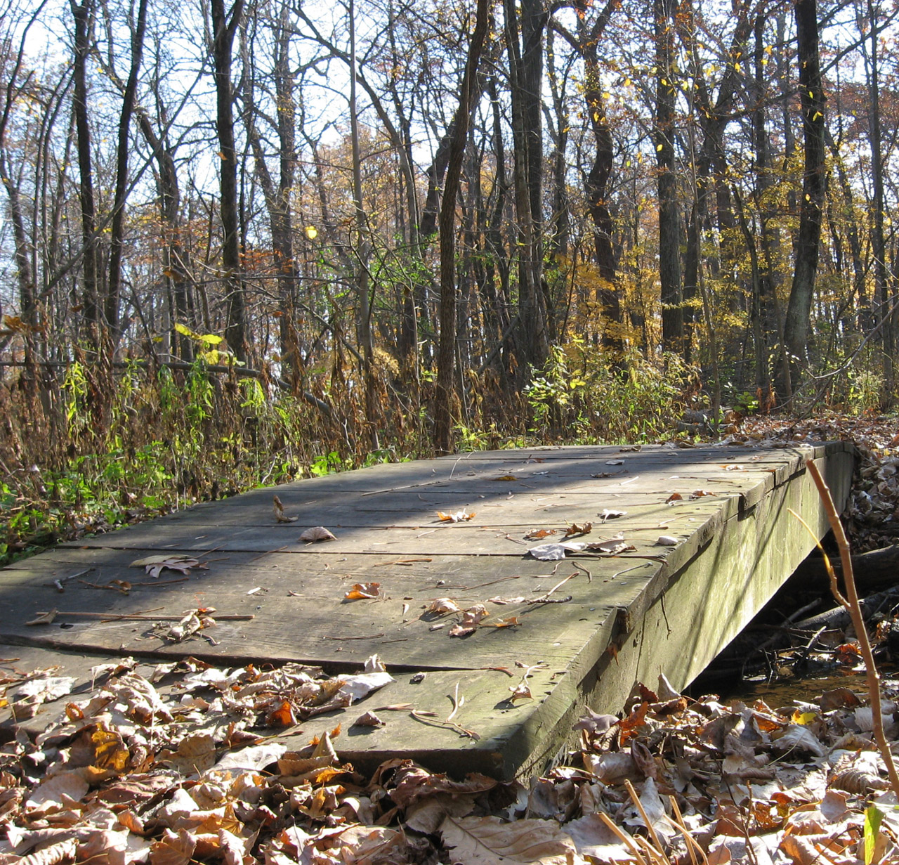 wood bridge fall free photo