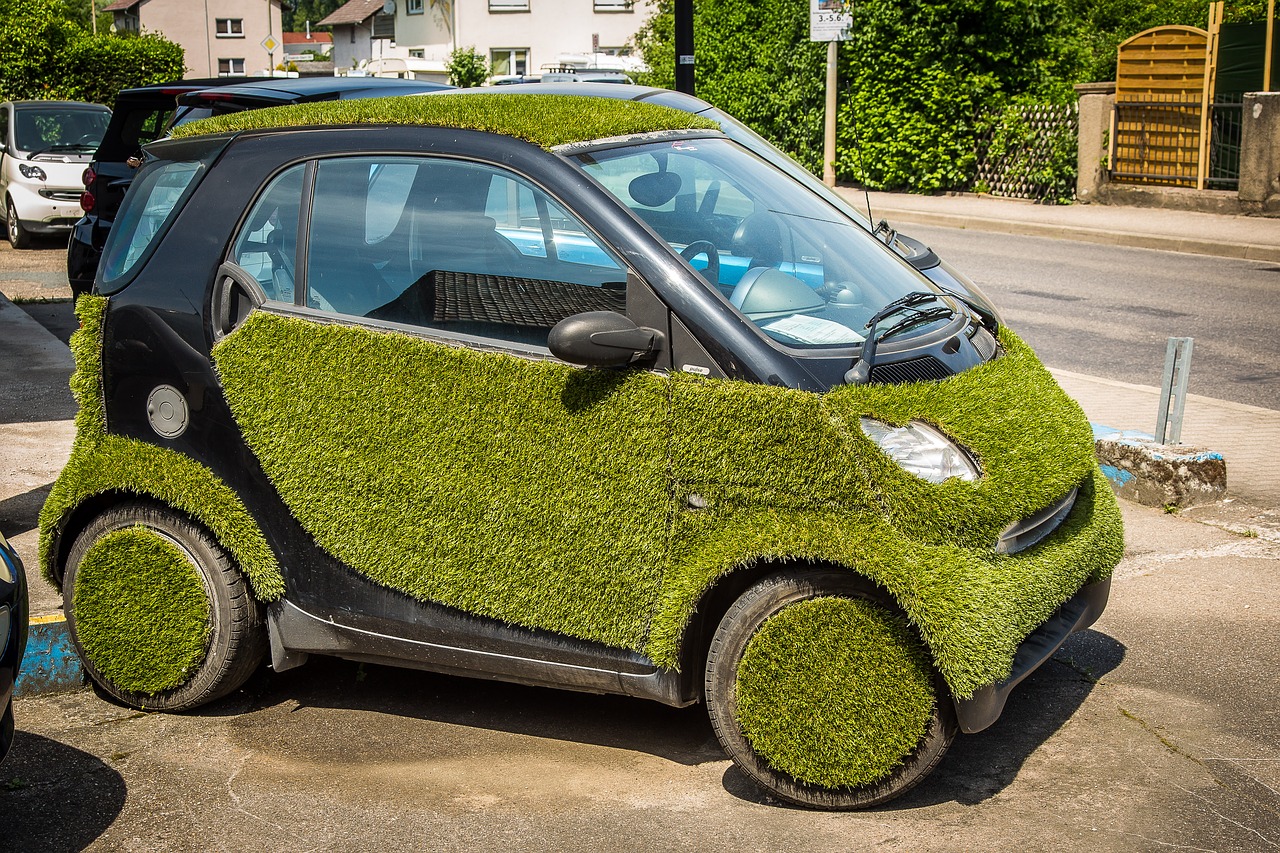 smart grass auto free photo