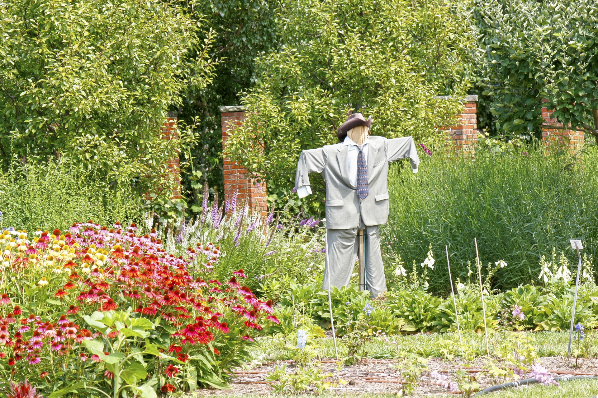 scarecrow suit smartly dressed free photo