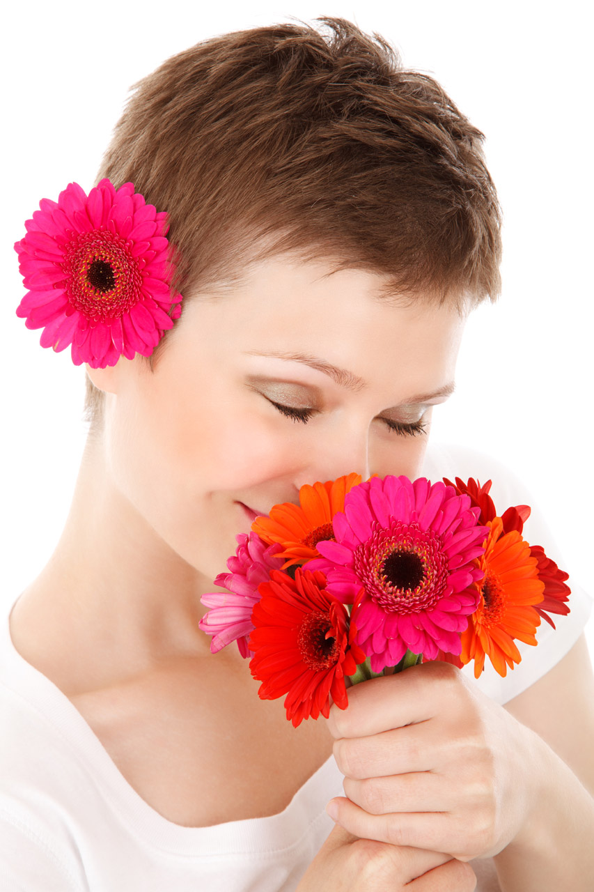 gerbera bouquet beauty free photo