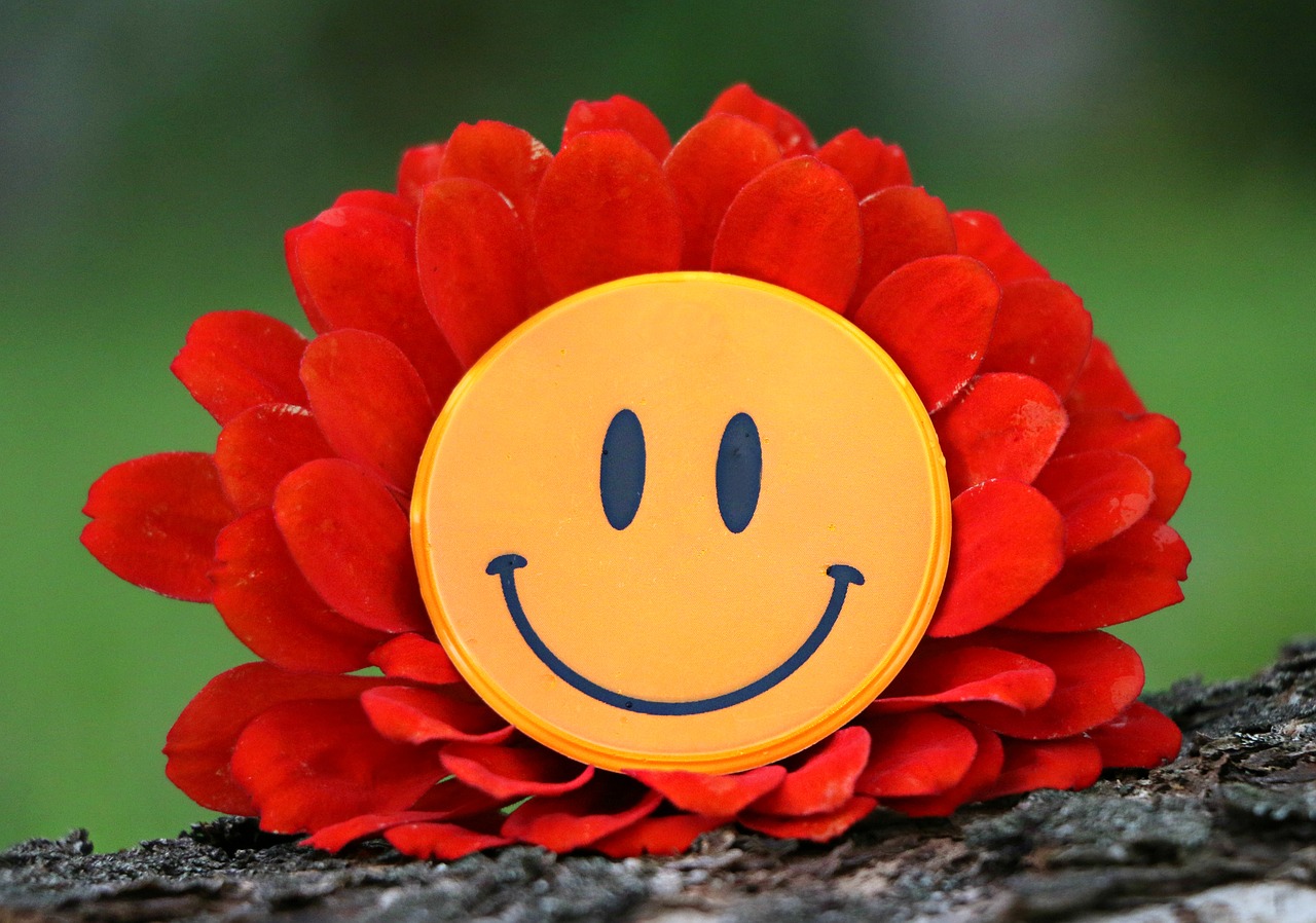 smile joy flower free photo