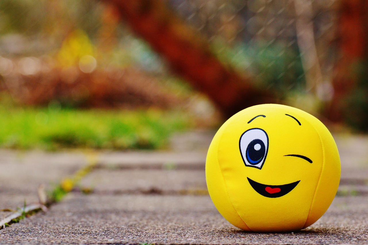 smiley wink funny free photo