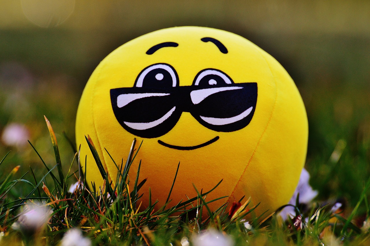 smiley cool funny free photo