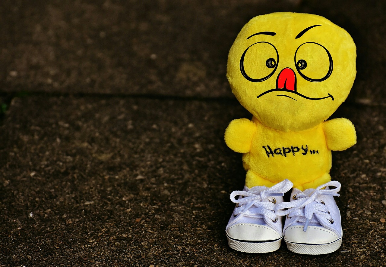 smiley sneakers funny free photo