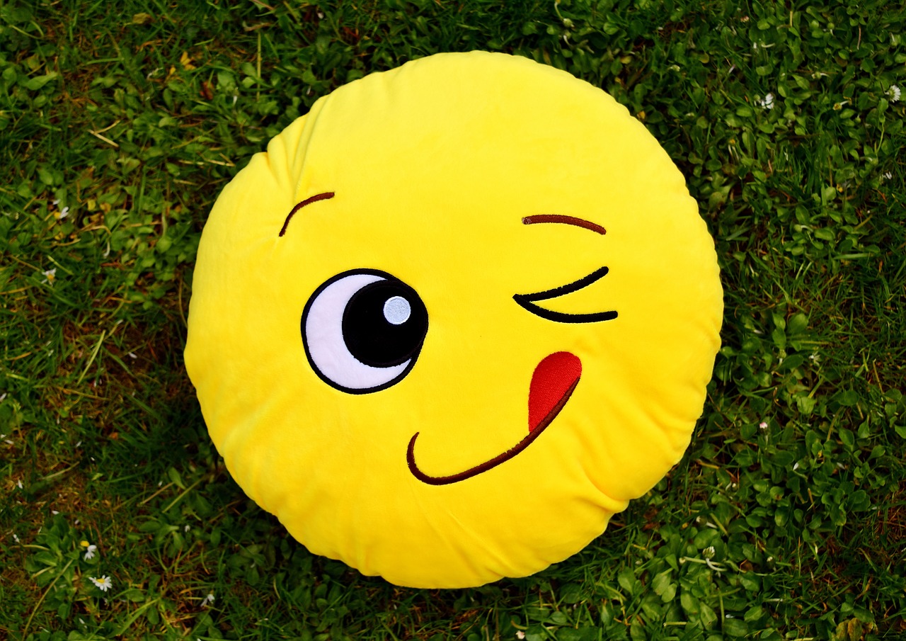 smiley funny wink free photo