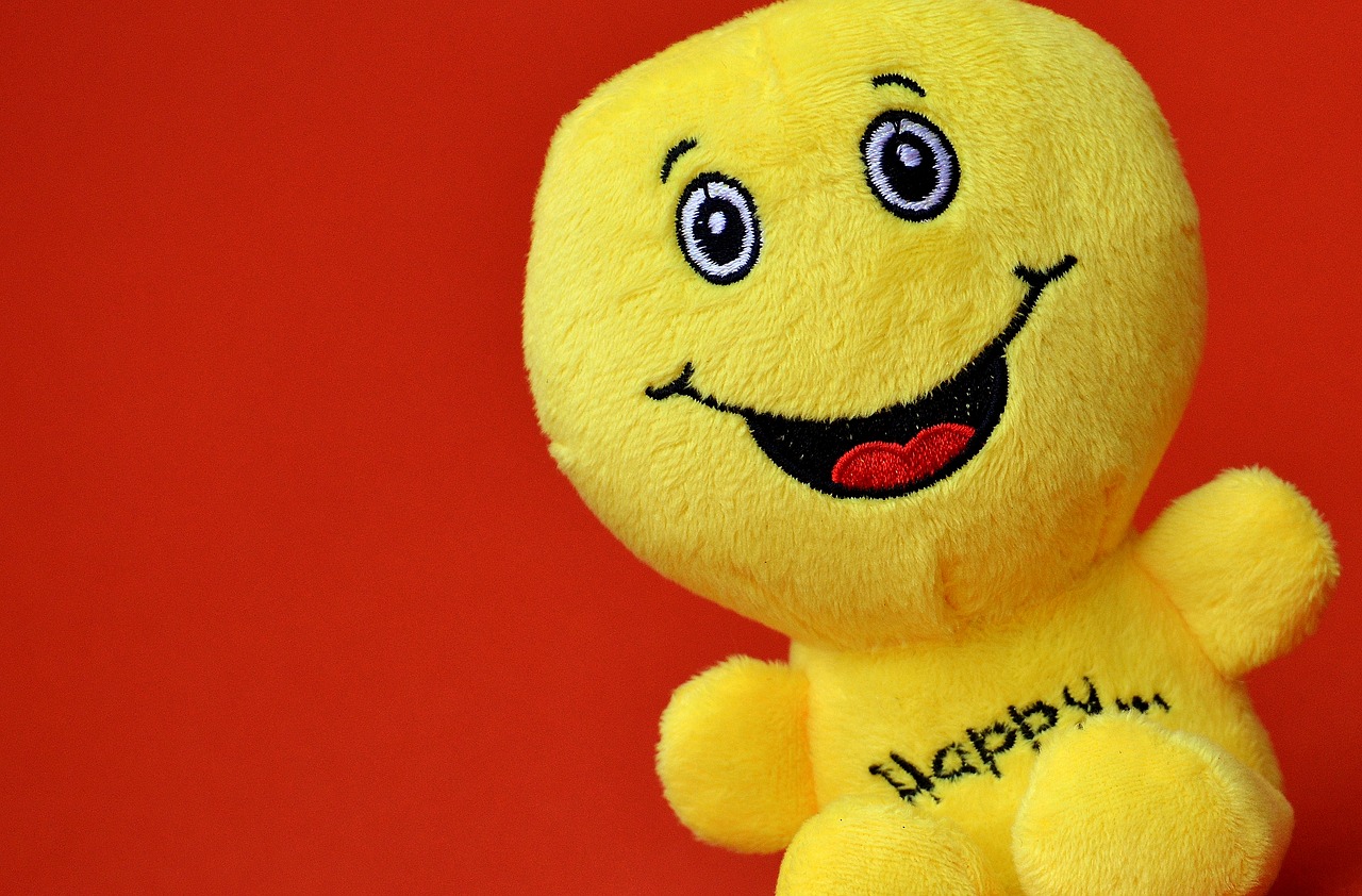 smiley happy funny free photo