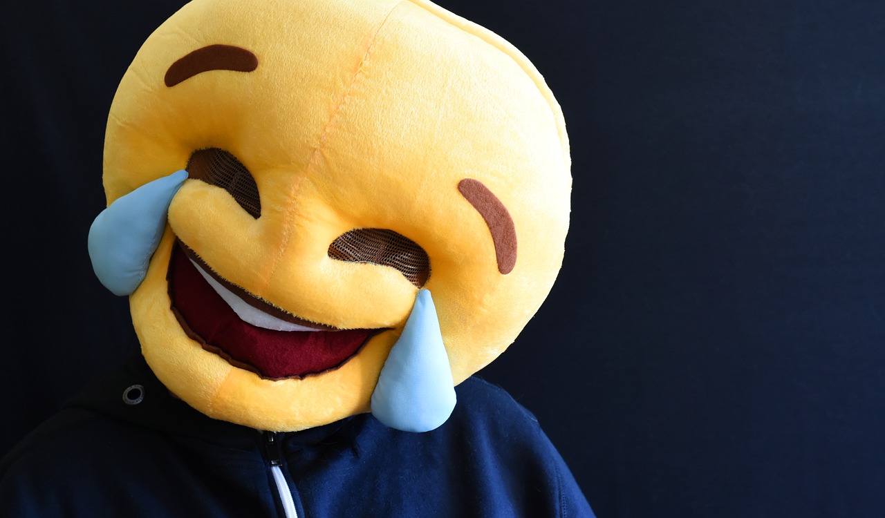 smiley  costume  mask free photo